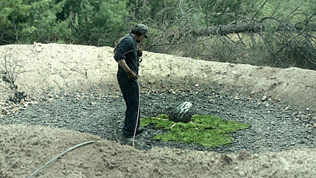 男子发现神秘陨石，不仅能让断腿重新生...