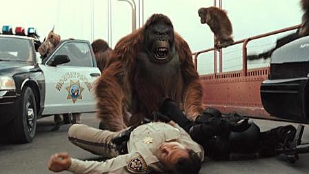 人类测试新药, 却让猩猩有了高智商, 开...