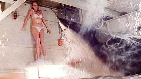 美女博士培育出高智商鲨鱼 6分钟看完科...