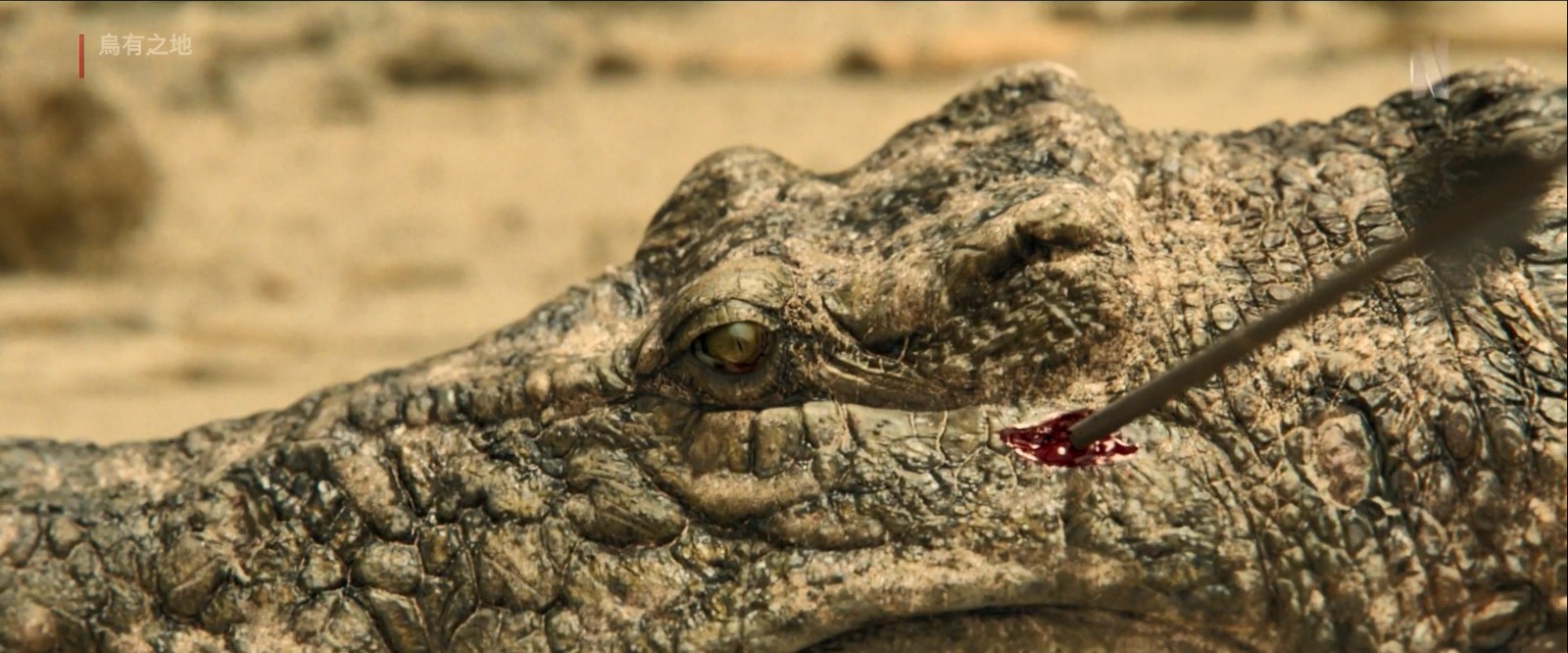 《乌有之地》：马东锡动作科幻片首发先导预告