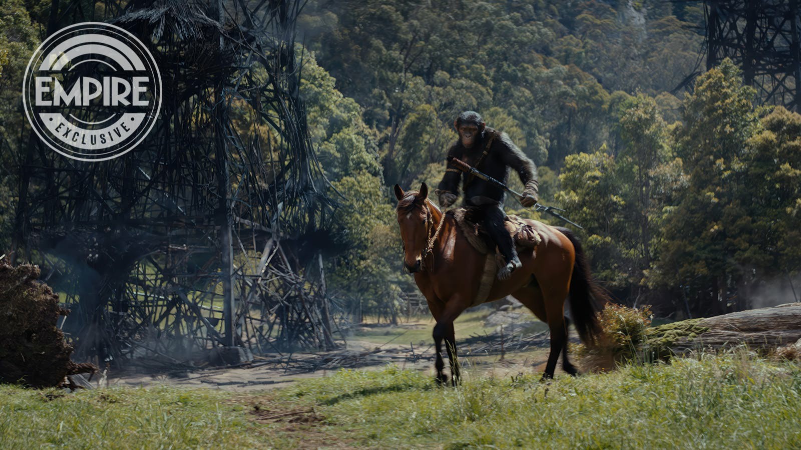 《猩球崛起4》官方发布全新剧照，启动全新三部曲