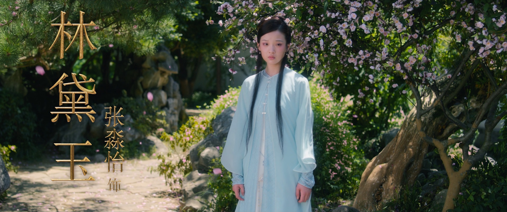 《红楼梦》电影导演批评黑水军，票房突破420万