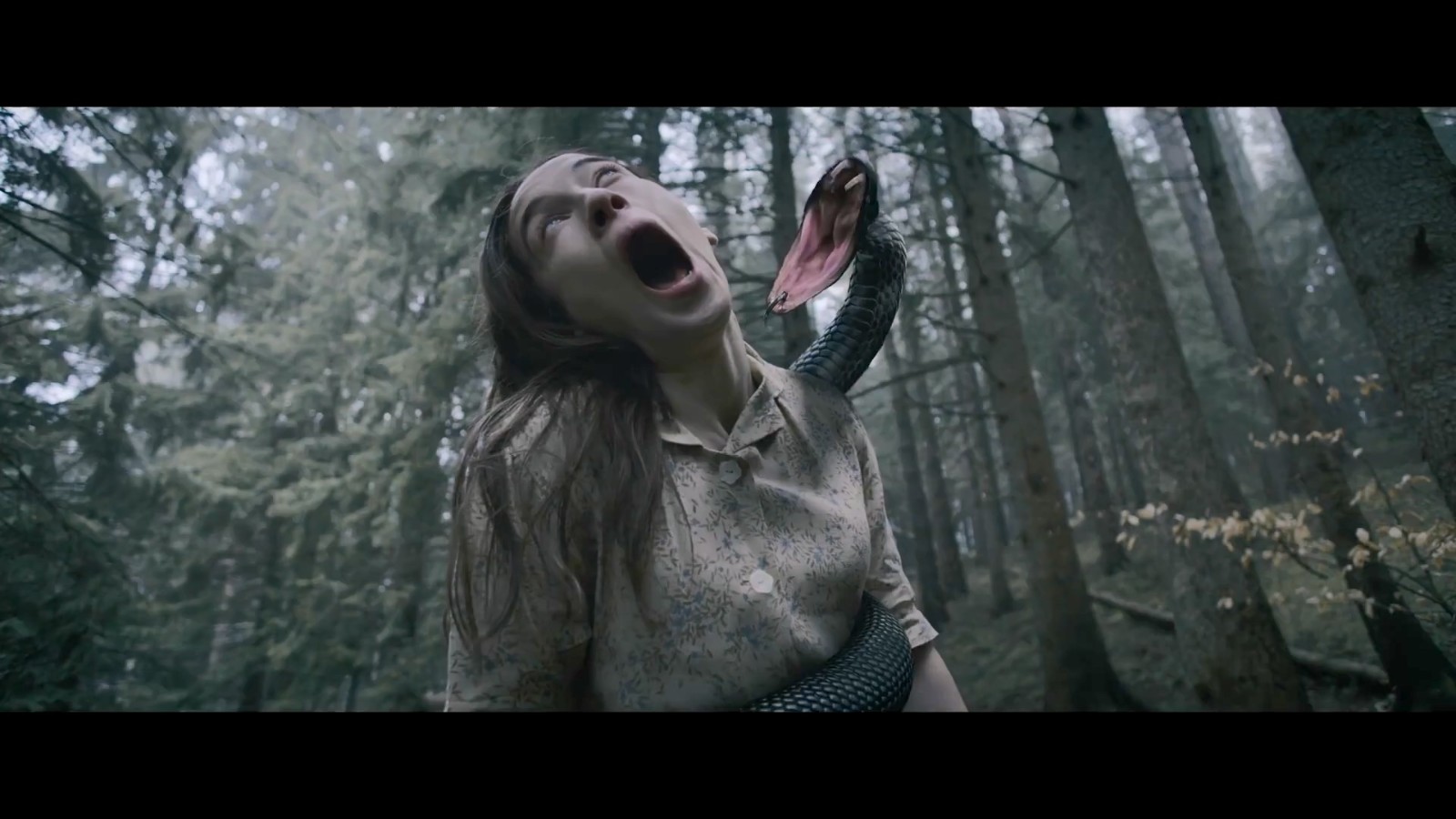 《地狱男爵：弯曲之人》首支预告片正式发布