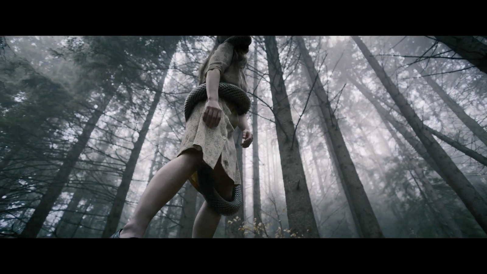 《地狱男爵：弯曲之人》首支预告片正式发布