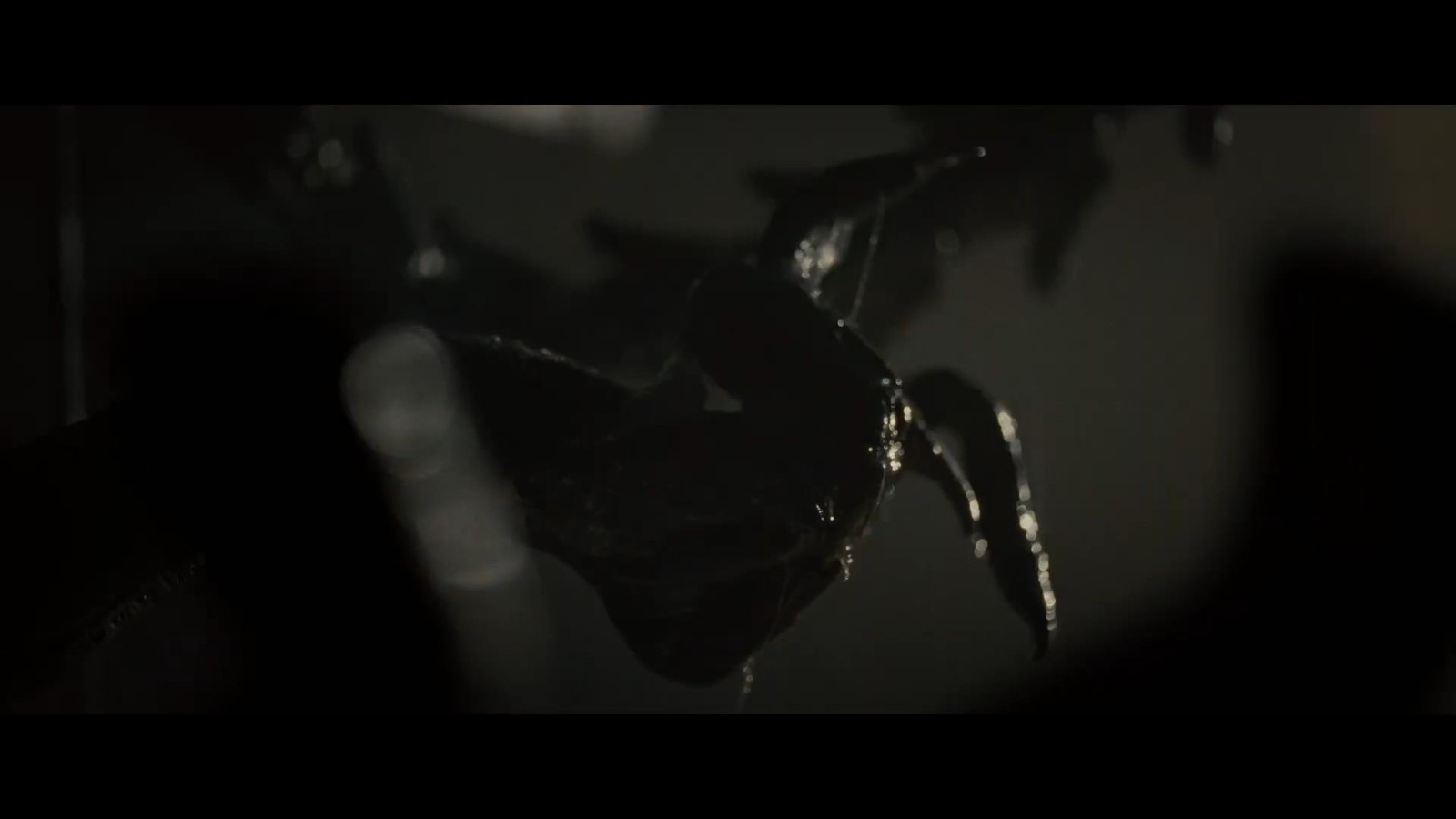 科幻恐怖电影《异形：夺命舰》最新预告：狭路相逢