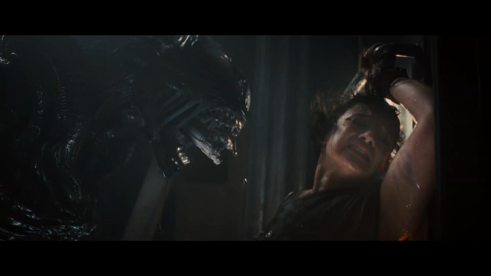 科幻恐怖电影《异形：夺命舰》最新预告：狭路相逢